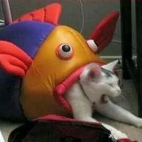 Profile Picture of Charles Arbuckle (@CharlesArbuckl2) on Twitter