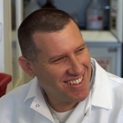 Profile Picture of Moshe Dessau (@StructureRocks) on Twitter