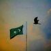 Profile Picture of Syeda Snober Zia (@174UnoS) on Pinterest
