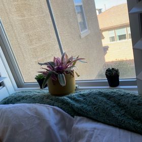 Profile Picture of Alyssa Salloum (@asalloum1220) on Pinterest