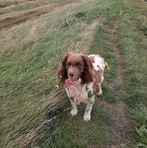 Profile Picture of Robert Watchorn (Robert Watchorn) (@roberto.watchorn) on Facebook