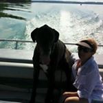 Profile Picture of Terri Shirley Hughes (@terrishirleyhughes) on Instagram