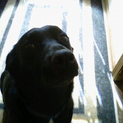 Profile Picture of Bryan Dowd (@@IForgotMyHelmet) on Twitter