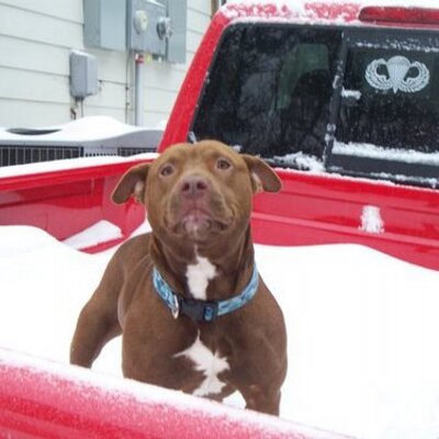 Profile Picture of Jacob Toomey (@jtoomey89) on Twitter