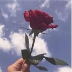 Profile Picture of Edith Corado (@Edith-Corado) on Facebook