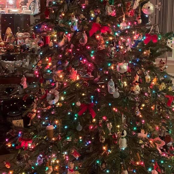 Profile Picture of Kim Berardino (@bermo4) on Poshmark