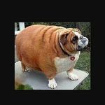 Profile Picture of Miriam Makade Selassie (@miriammakadeselassie) on Instagram