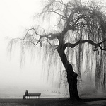 Profile Picture of Levi Pereira da silva (@Levisilvasep) on Flickr