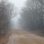 Madison Rowe - Instagram Profile Picture of Madison Rowe (@mediocre.pics.by.madi) on Instagram