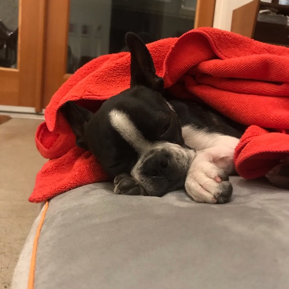 Profile Picture of Sean Gorman (@sgormani) on Poshmark