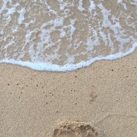 Profile Picture of Alice Whittemore (@alice-whittemore) on Quora