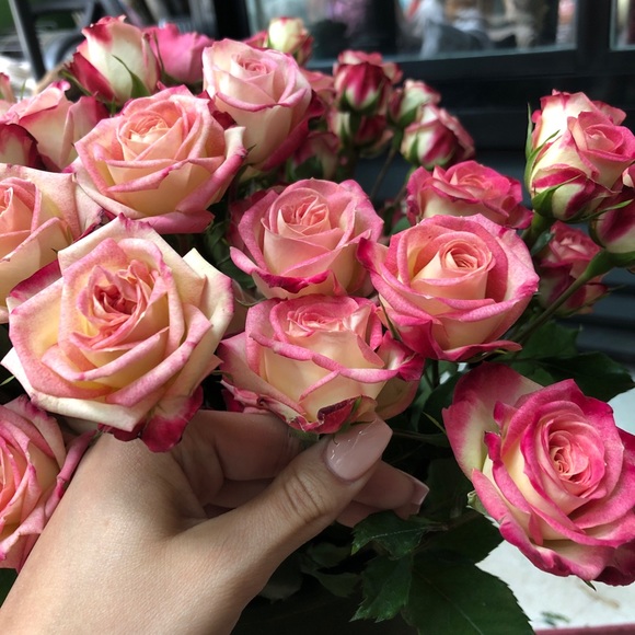 Profile Picture of Camrynn Vanwettering (@camrynn101) on Poshmark