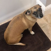 Gabriella Andrade - Youtube Profile Picture of Gabriella Andrade (@sadie1629) on Youtube