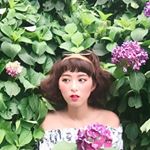 Profile Picture of Anna沛馨🌹 (@peihsintagram) on Instagram