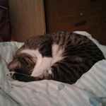 Profile Picture of yolanda becerra (@yoandabecerra) on Instagram