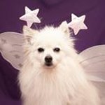 Profile Picture of Kenny Männlein (@pawsome.kennyman) on Instagram