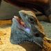 Profile Picture of Al Baer (@al.baer.906) on Facebook