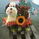 Profile Picture of freddy hector alvarado leonard (@alvaradofreddy720) on Instagram