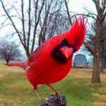 Profile Picture of Terry (@twozniak23) on Instagram