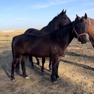 Profile Picture of O Zhi Mei Le (@david_ortlieb) on Instagram