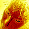 Profile Picture of Bob Gilbert (@bobgilbertstudios.com) on Flickr