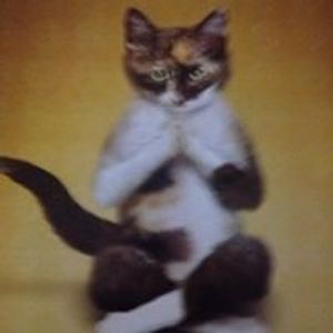 Profile Picture of Linda Holliday (@linda_holliday1) on Myspace