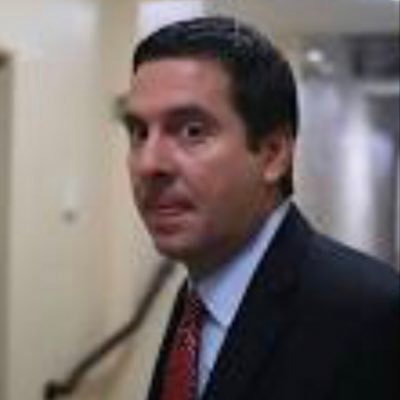 Profile Picture of Devin Nunes’ Colon (@ColonNunes) on Twitter