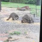 Profile Picture of   Chloe Garrett (@chloeonor)... (@chloeonor) on Tiktok