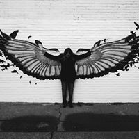 Profile Picture of Kelly Blodgett (@kelly-blodgett-1) on Quora