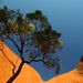 Profile Picture of Anja Bruschweiler (@abruschweiler) on Pinterest