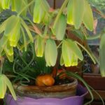 Profile Picture of Piazza Loretta (@piazzalorett) on Instagram