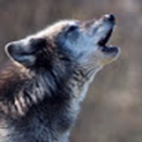 Profile Picture of Amanda Pryde (@amanda-pryde-2) on Quora