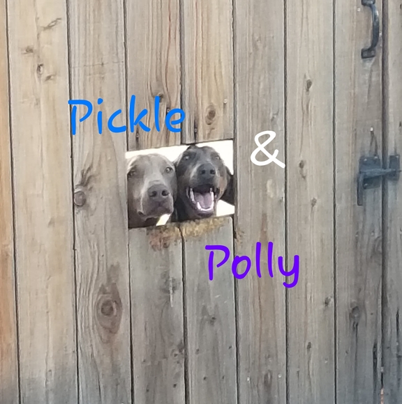 Profile Picture of Rosa Zubeldia (@rsmithtaz) on Poshmark