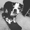 Profile Picture of Art Becerra (@@artbecerra) on Tiktok