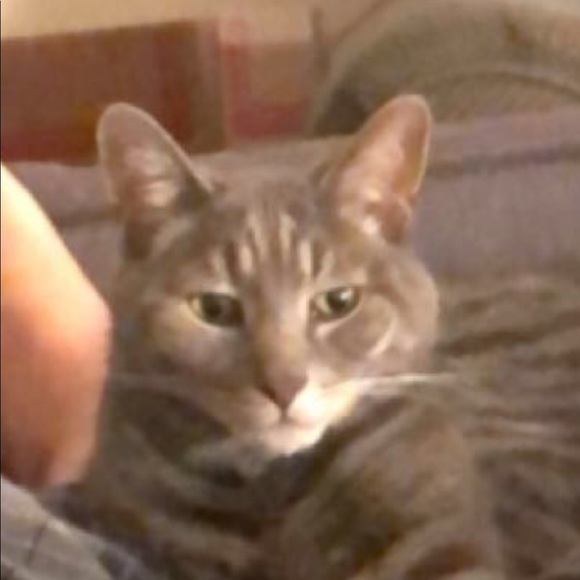 Profile Picture of Adam Glynn (@adamglynn) on Poshmark