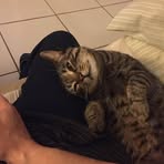 Profile Picture of Paul Borges (@Paul-Borges) on Facebook