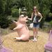 Profile Picture of Colleen Martin (@collliflower) on Pinterest