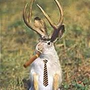 Profile Picture of Zack Drew (@zack.drew.351) on Facebook