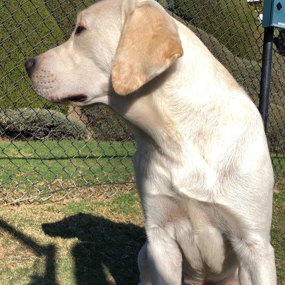 Profile Picture of Alan Anawalt (@alananawalt) on Poshmark