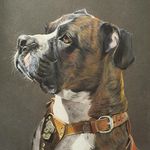 Danielle Shields - Instagram Profile Picture of Danielle Shields (@danielleshields_art) on Instagram