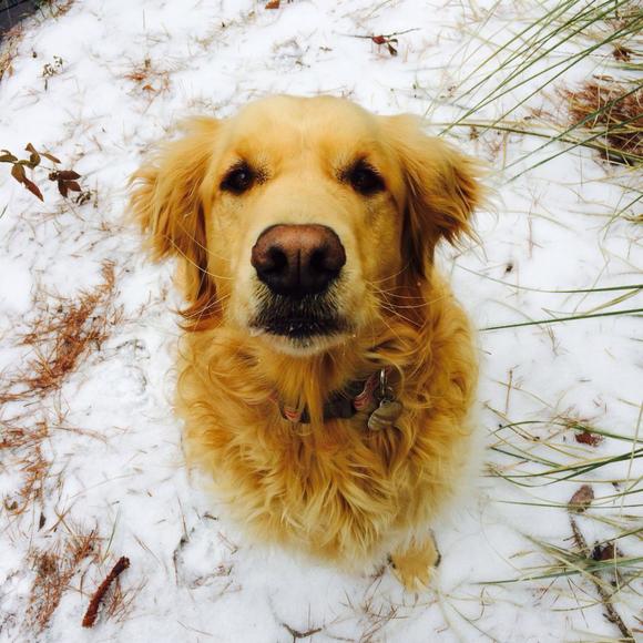 Profile Picture of Kendall Ward (@snowward4) on Poshmark