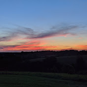 Profile Picture of Bailey Adamson (@baileyadamson3557) on Youtube