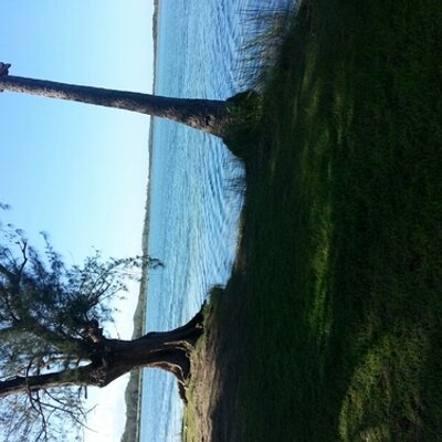 Profile Picture of Moraima Martinez (@moryhaida) on Twitter
