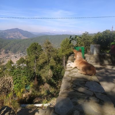 Aakash Joshi - Twitter Profile Picture of Aakash Joshi (@Joshi_Uncle) on Twitter