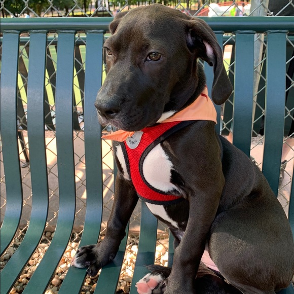 Profile Picture of Jessica Mancera (@jessica_m7) on Poshmark