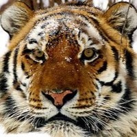 Profile Picture of Evan Fraser (@evan-fraser-15) on Quora