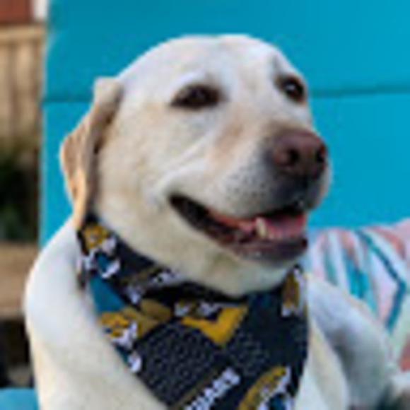 Profile Picture of Jenny Stupinski (@jennystu6) on Poshmark