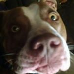 Profile Picture of Jacob coleson (@jacob_coleson12345) on Instagram