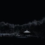 Profile Picture of Joseph Migliaccio (@i_dislike_art) on Instagram