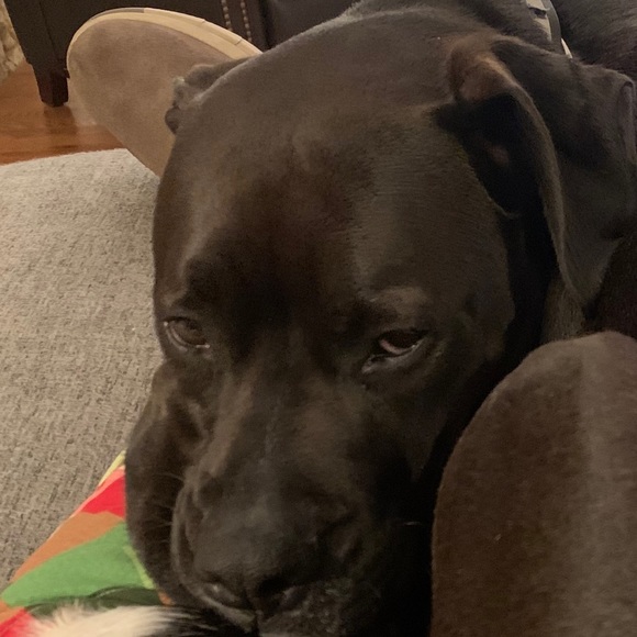 Profile Picture of Thad Smith (@tdsmith428) on Poshmark